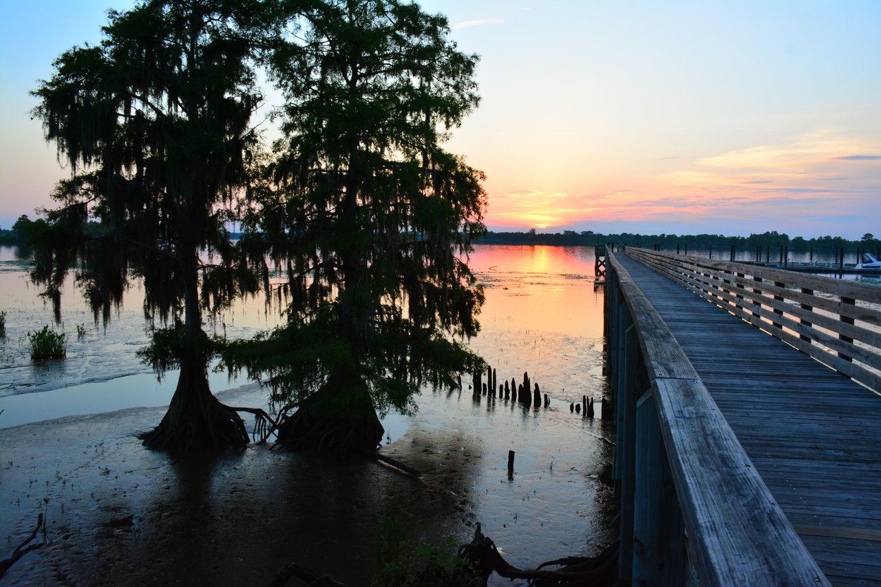Allston River Bluffs