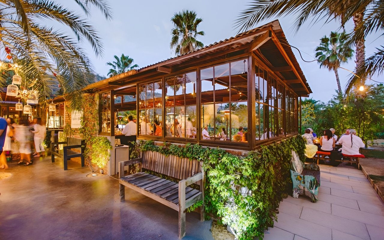 Unveiling Authentic Farm-to-Table Experiences in Los Cabos