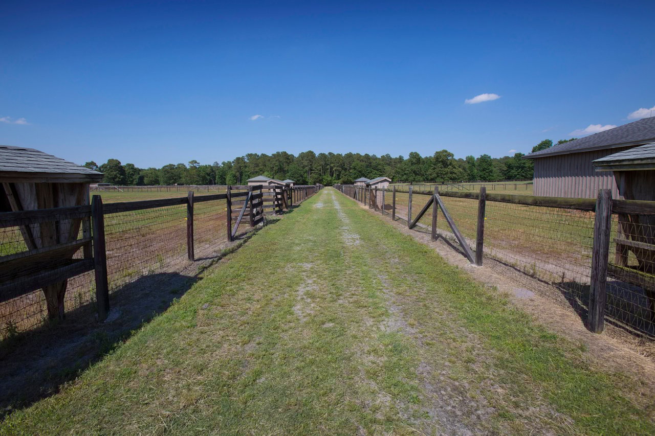Equestrian Estate at 411 New Hope Church Road