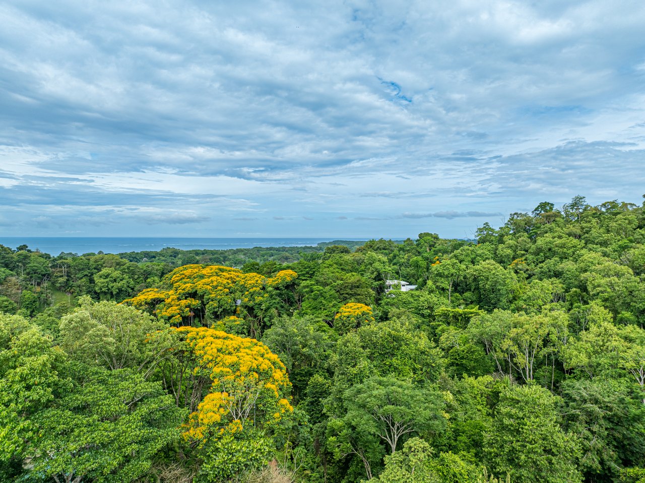 2.56 ACRES – 3 Bedroom Artistic Architectural Masterpiece, Recording Studio, Ocean View, Pool, 1 Bedroom Guest House!!!