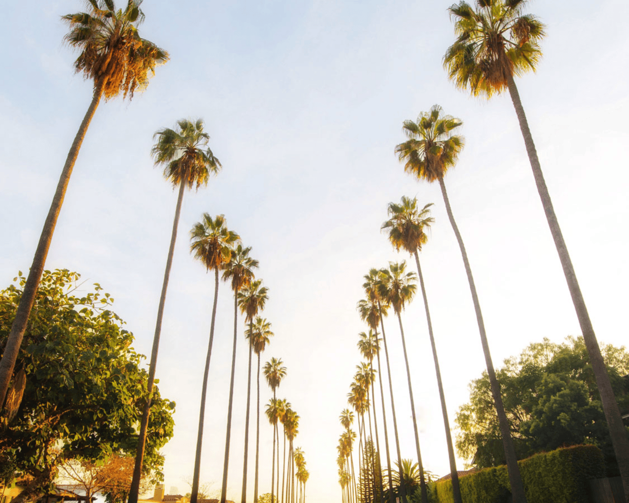 Best Streets in LA for a Sunday Stroll
