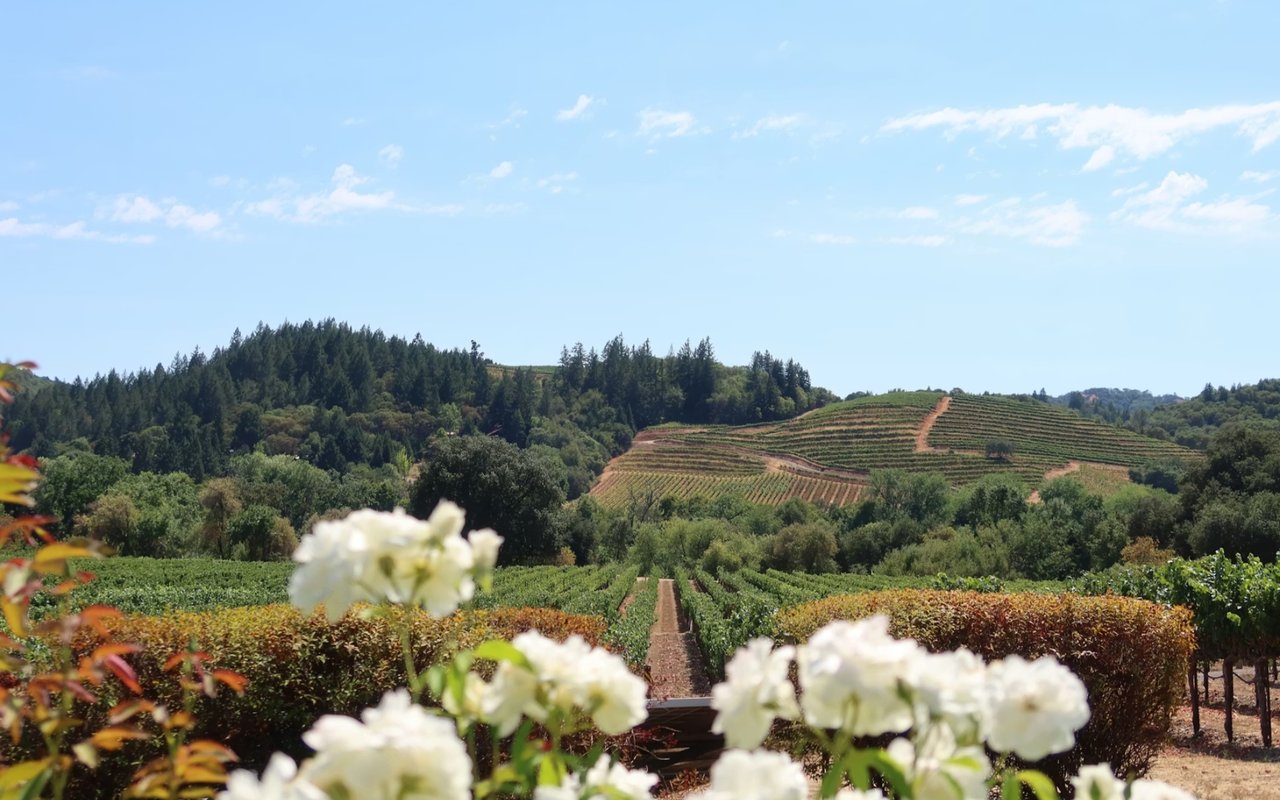 How to Spend a Day Outdoors in Napa Valley