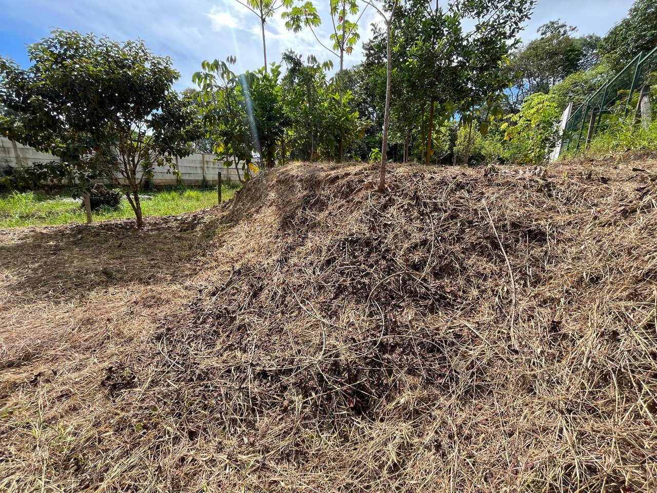 Affordable Uvita Lot UNDER $200-per-sqm - Perfect for Your Dream Home or Airbnb Investment
