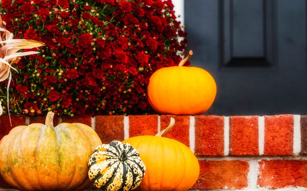7 Tips for Maximum Autumn Curb Appeal