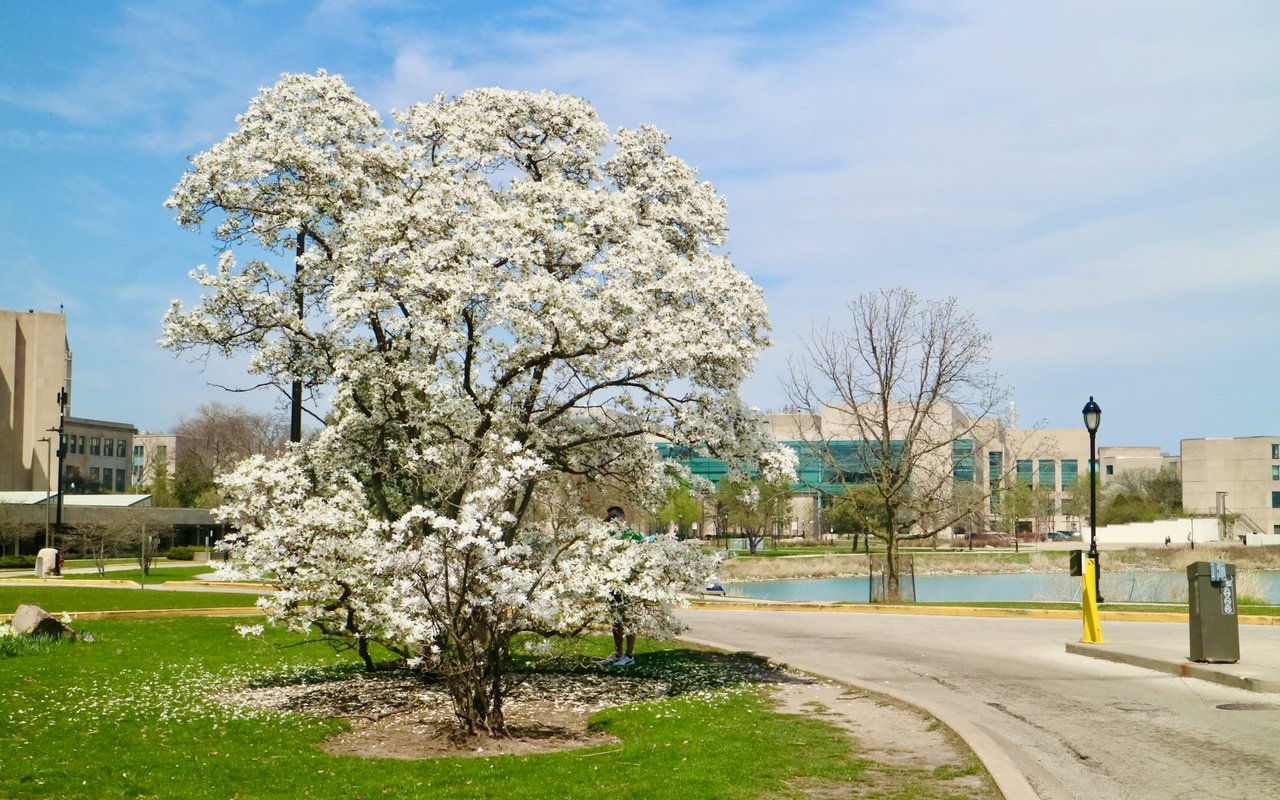 Evanston