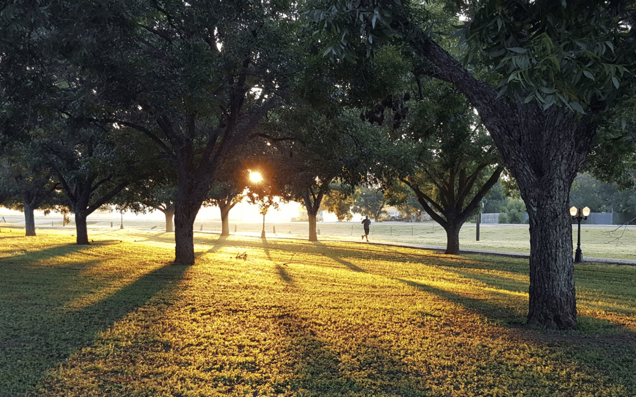 Exploring Parks in and Near Danville, CA