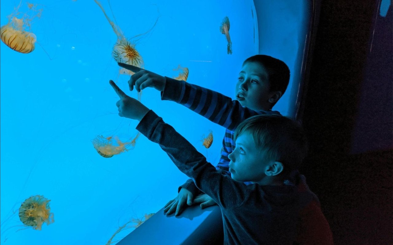 Things to Do in the Hamptons cover