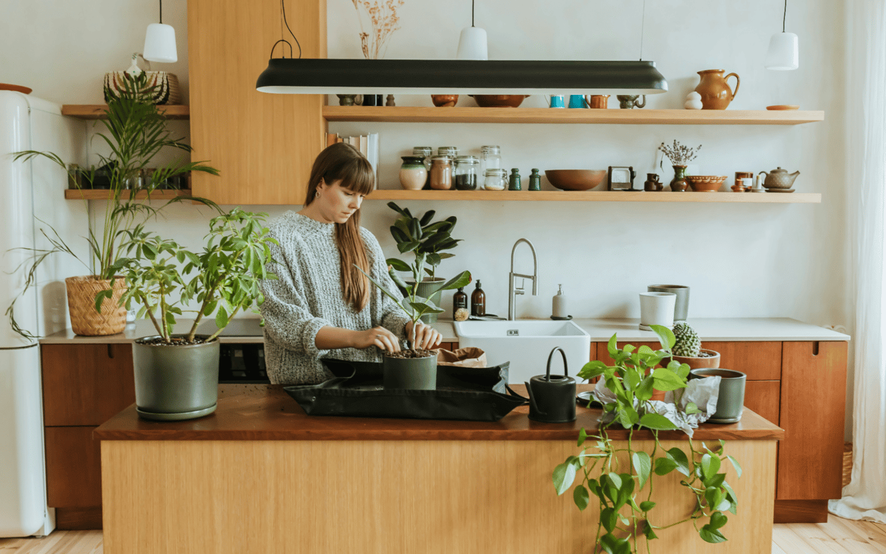 The Rise of Eco-Friendly Homes in Fort Lauderdale: Sustainable Living Options