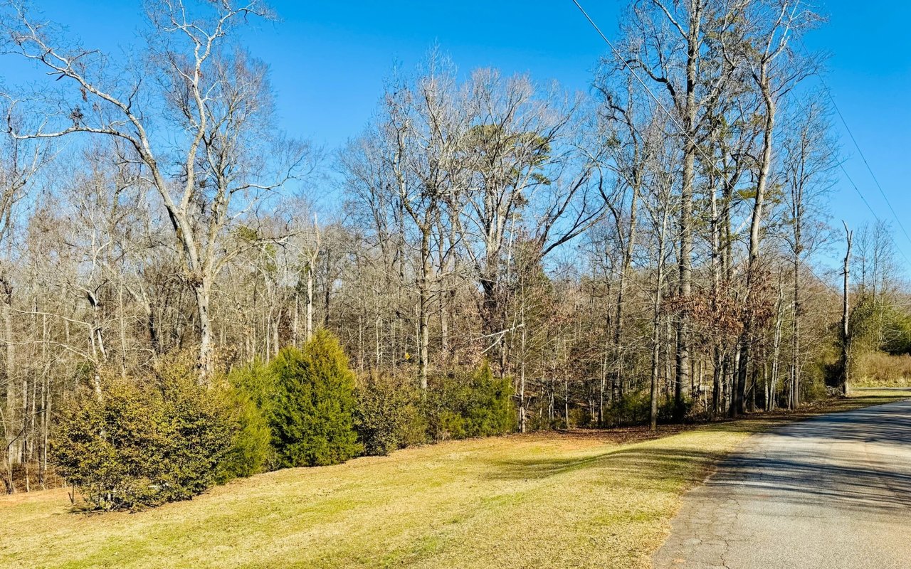 SOLD: Discover 110 Gilmer Circle A Unique Land Opportunity