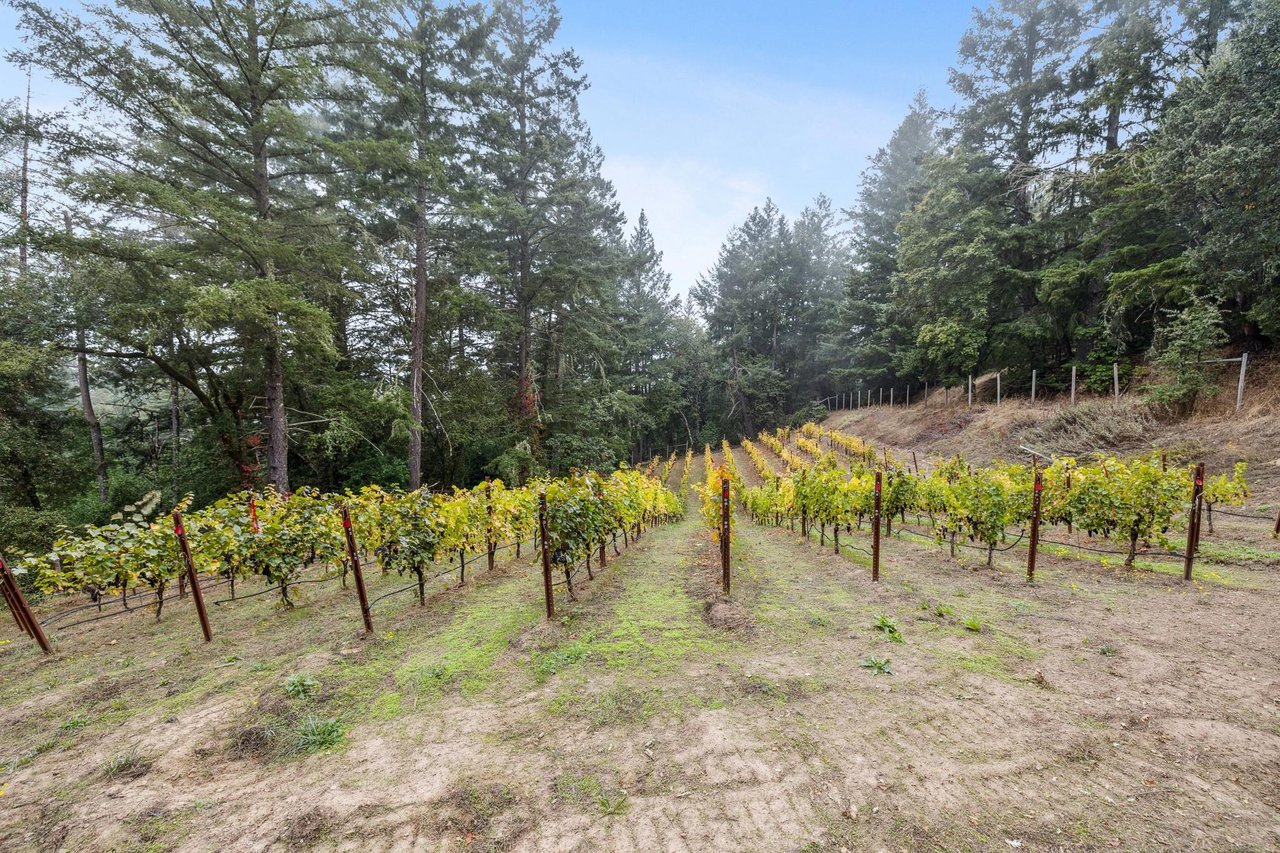 19089 Skyline Boulevard