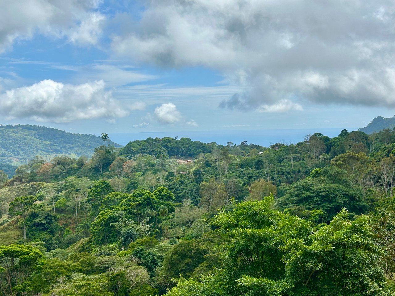Gorgeous Land in San Luis Morete - Uvita - Over 17 Acres