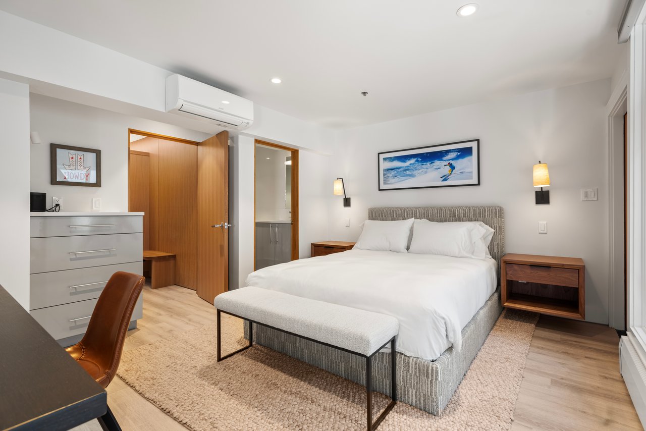 Newly Remodeled Core Condo with Aspen Mountain Views