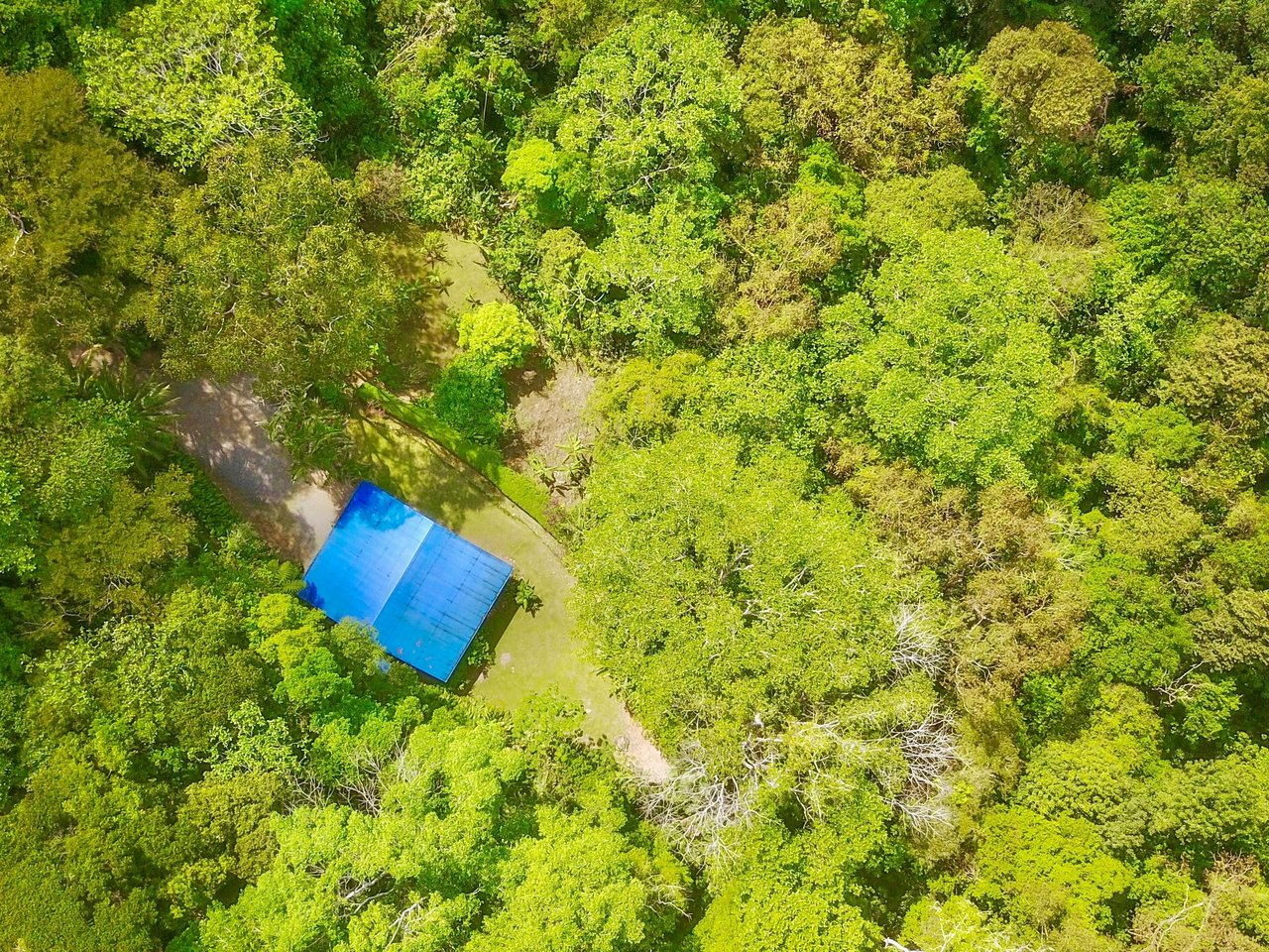 2.35 ACRES- 2 Bedroom Colorful Jungle Home With Ocean Views, Privacy, Room To Build More, Only 10 Min To Dominical!!!