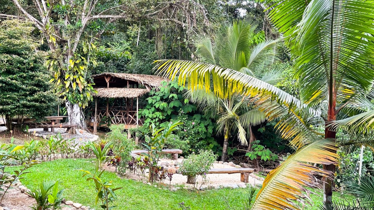 Dream Property for Sale in Costa Rica – A Holistic Sanctuary in Serenity Gardens