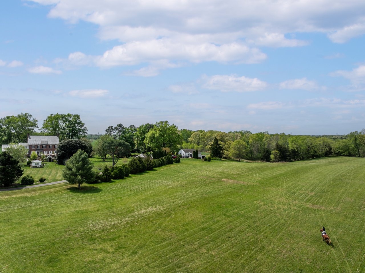 12428 Walnut Hill Drive