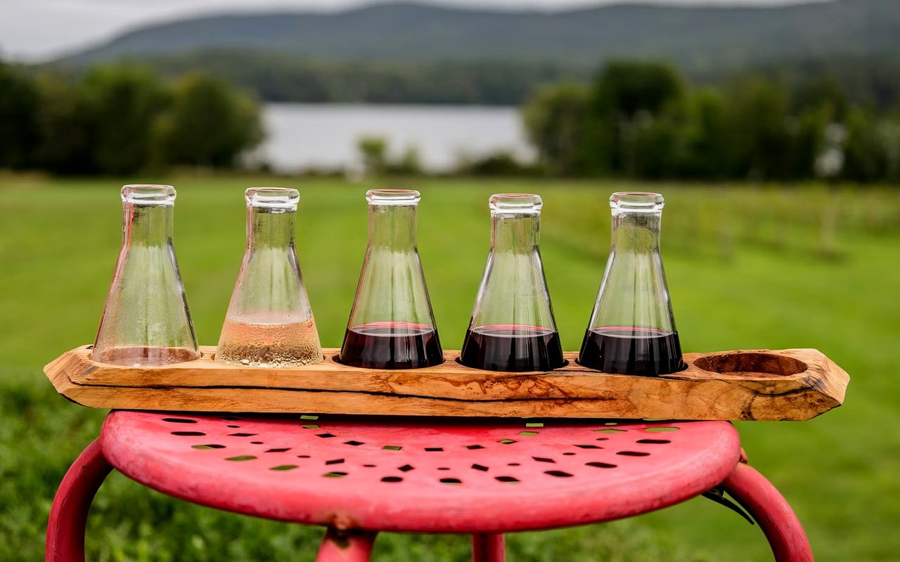 Local Wineries in Newburyport, MA