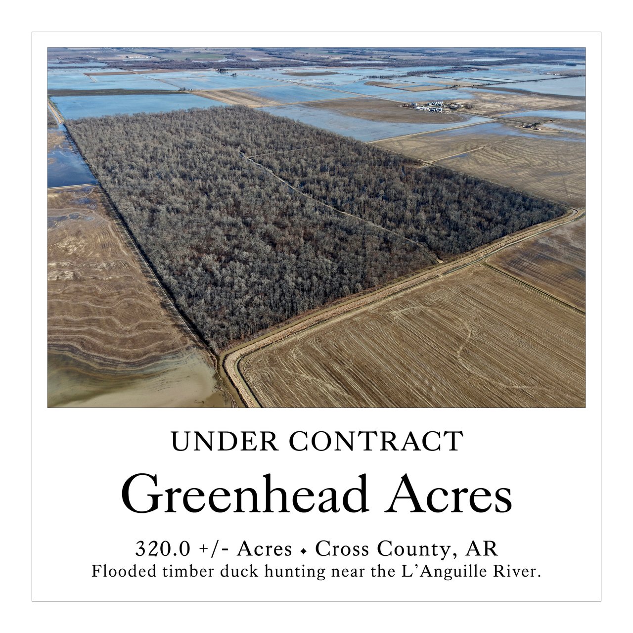 Greenhead Acres