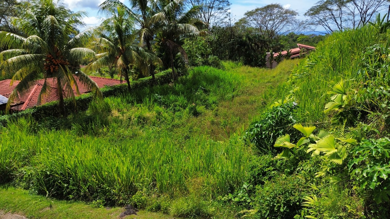 Peaceful Paradise Land in Ojochal with Budget-Friendly Options