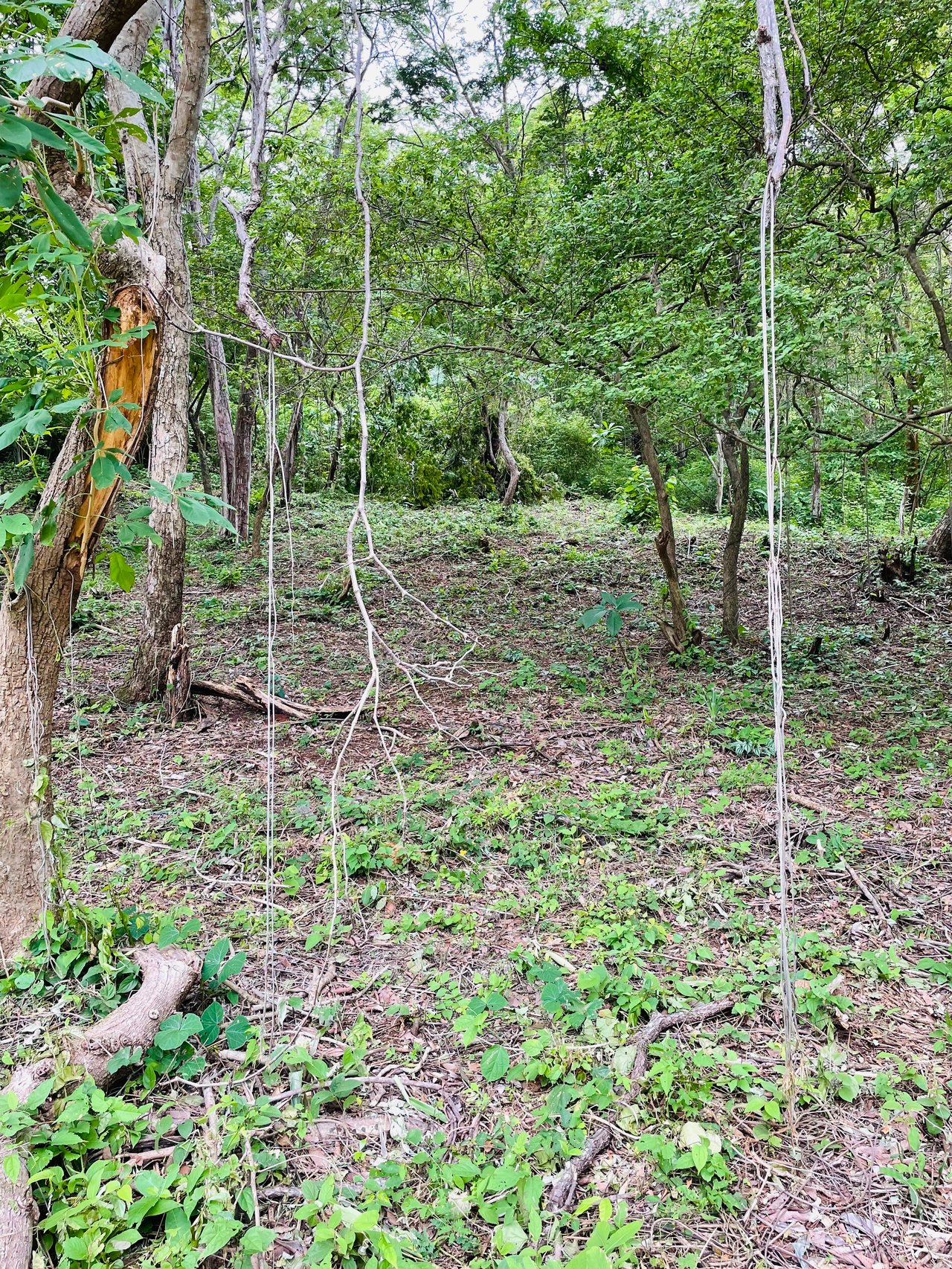 Valle Escondido Development | New Gated Community Near Tamarindo Beach