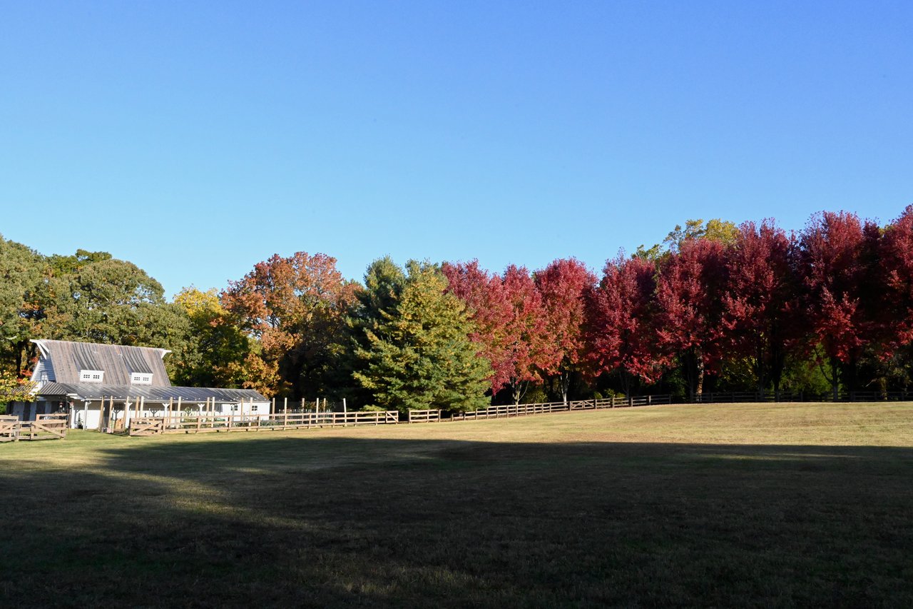 Silver Maple Manor