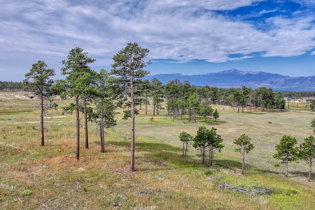 LOT 4 Forest Heights Circle