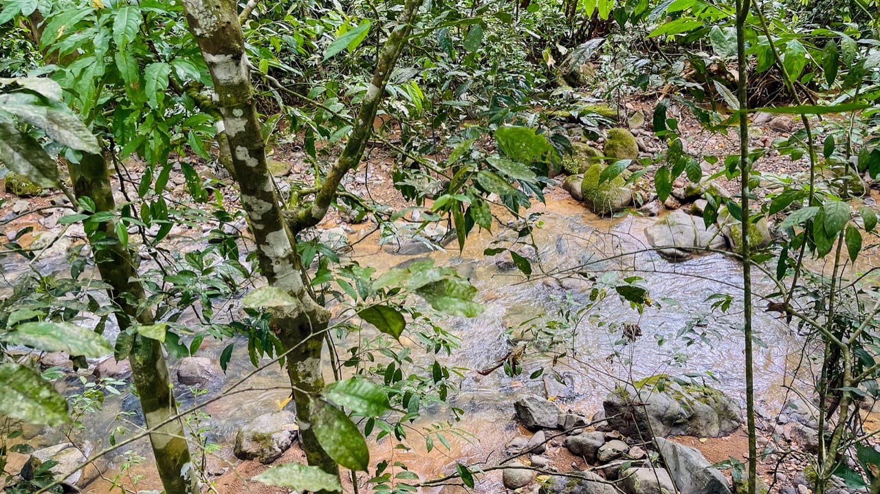 Contemporary Jungle Retreat in Tres Rios, Costa Rica