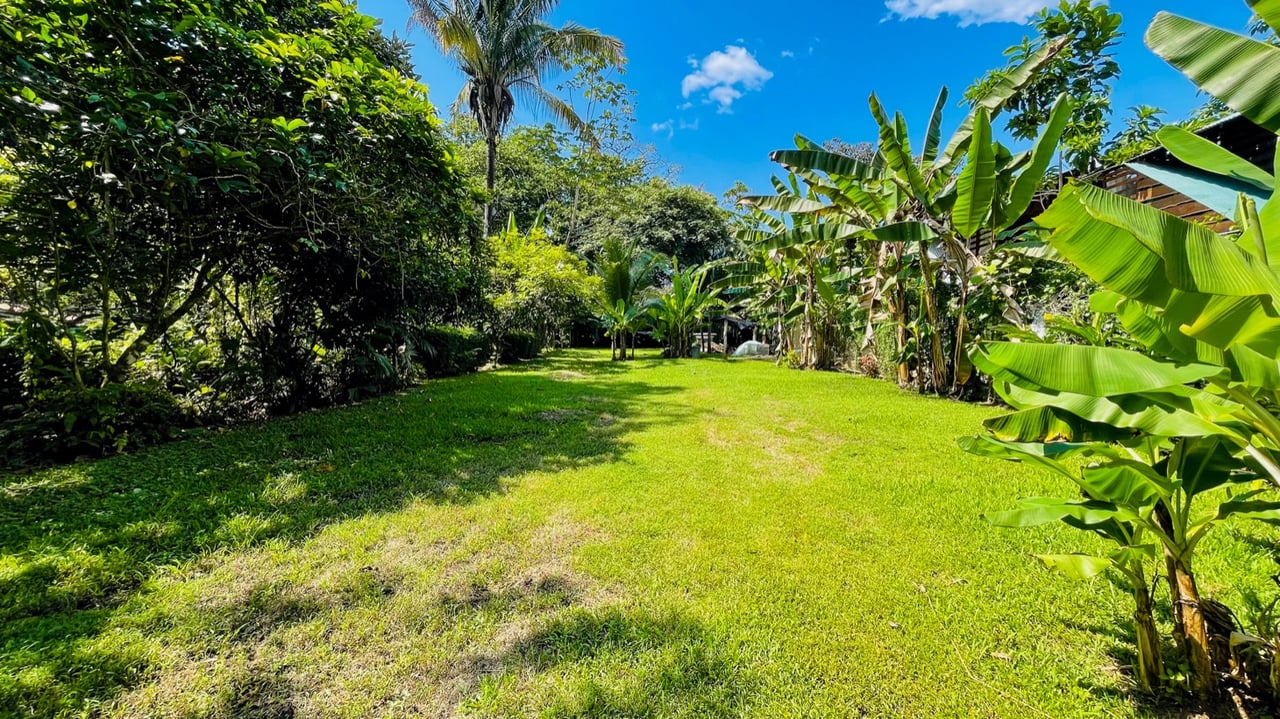 Investment Opportunity! Eco-Friendly Rental Property Near Playa Chaman and Playa Colonia