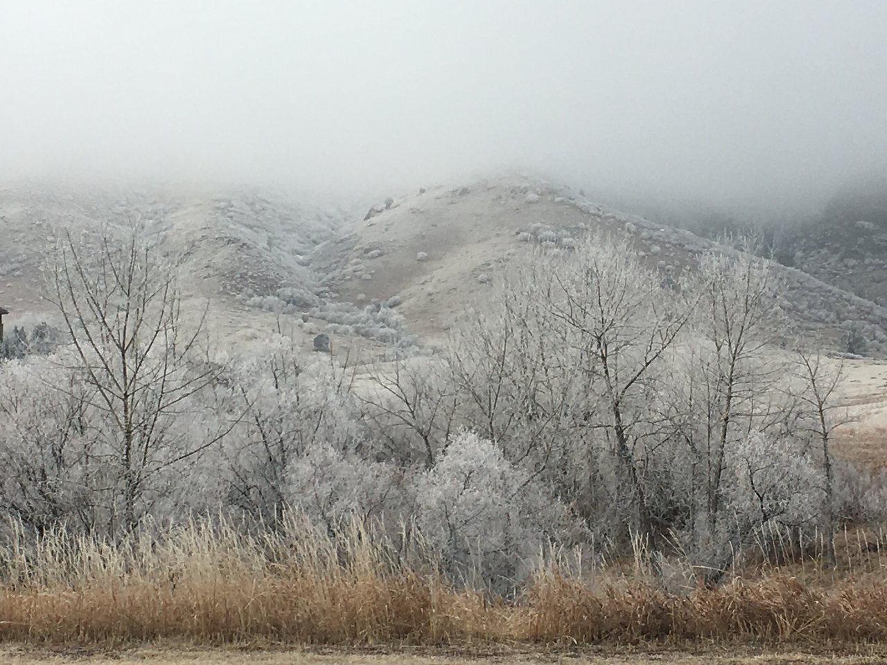 The Ken Caryl Valley - True Foothills Living