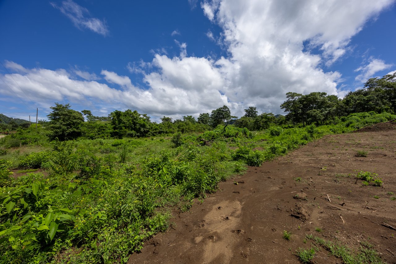 Lot Norte – Potrero | 5,000 m² Flat Build-Ready Lot Near the Beach