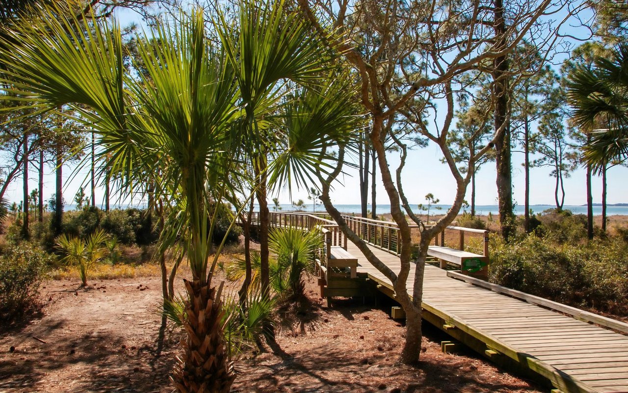 Forest Beach