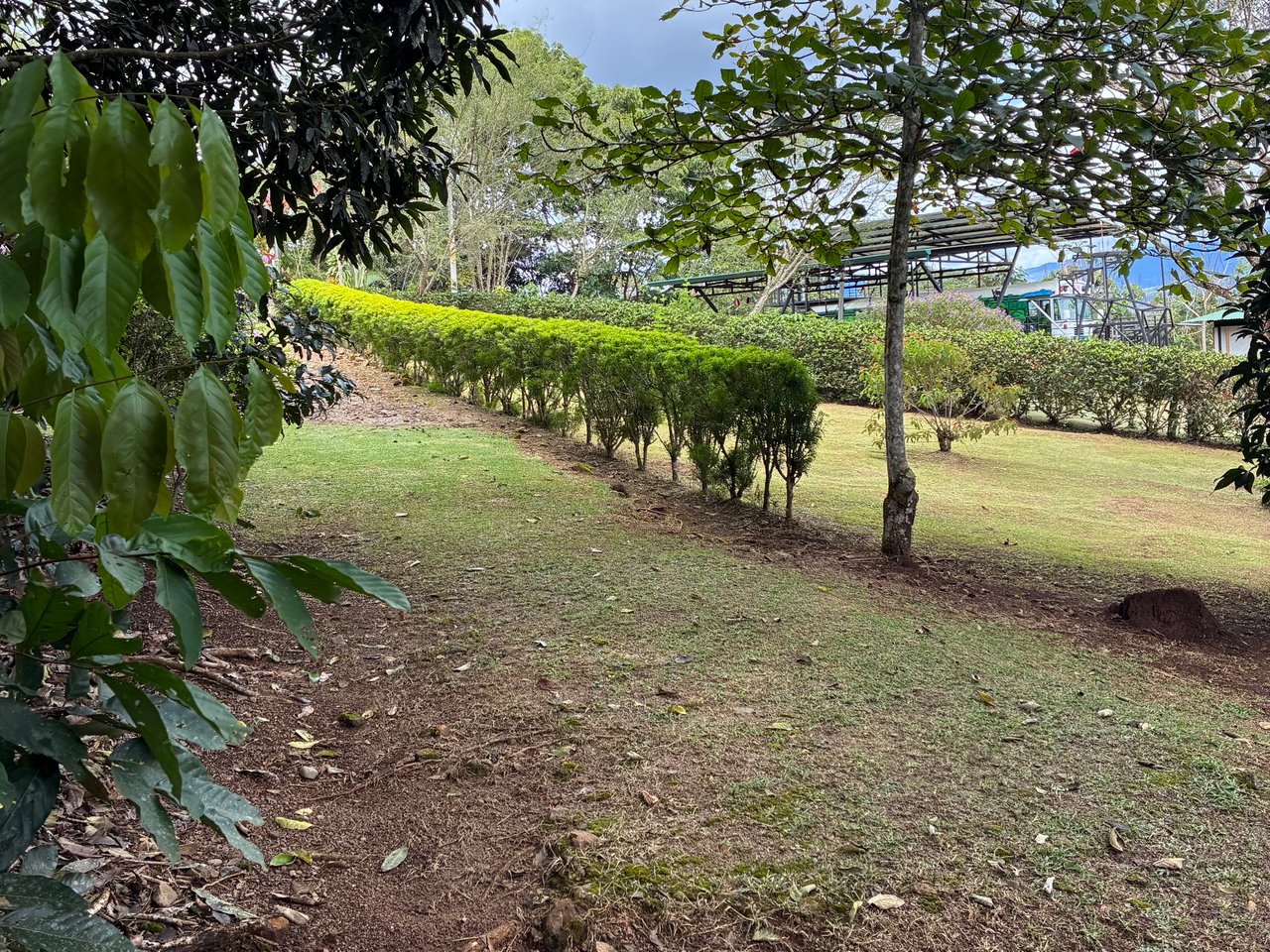 Building Lot 2O minutes from San Isidro with Fruit Trees and Views 