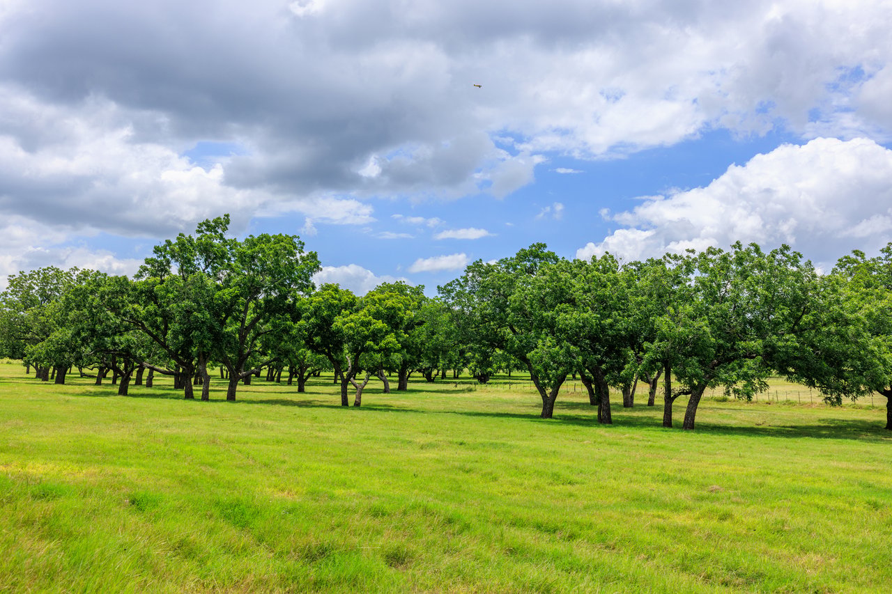 Live Oak Creek Ranch 