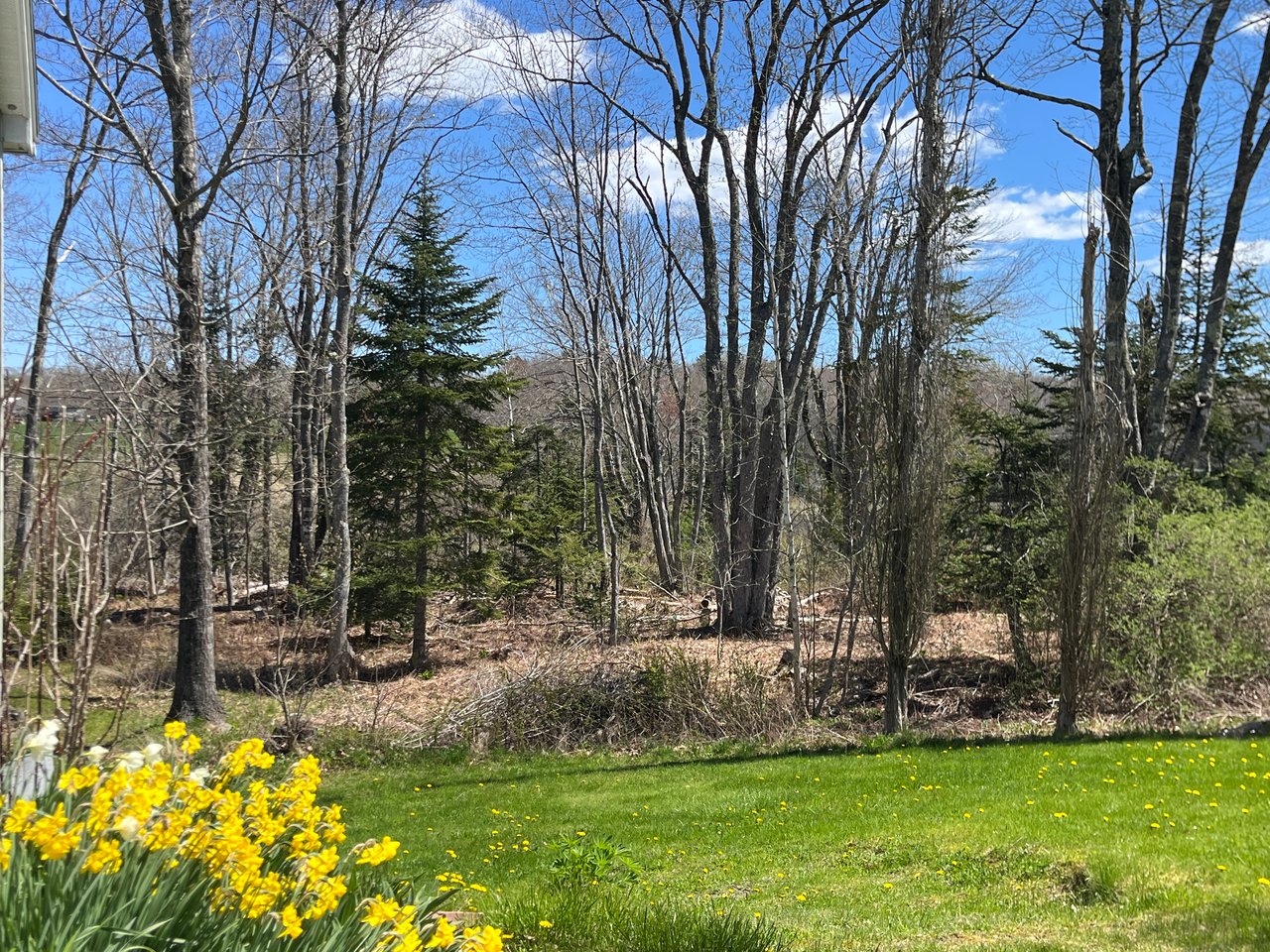 *AVAILABLE APRIL!* 408 Spruce Head Rd South Thomaston 