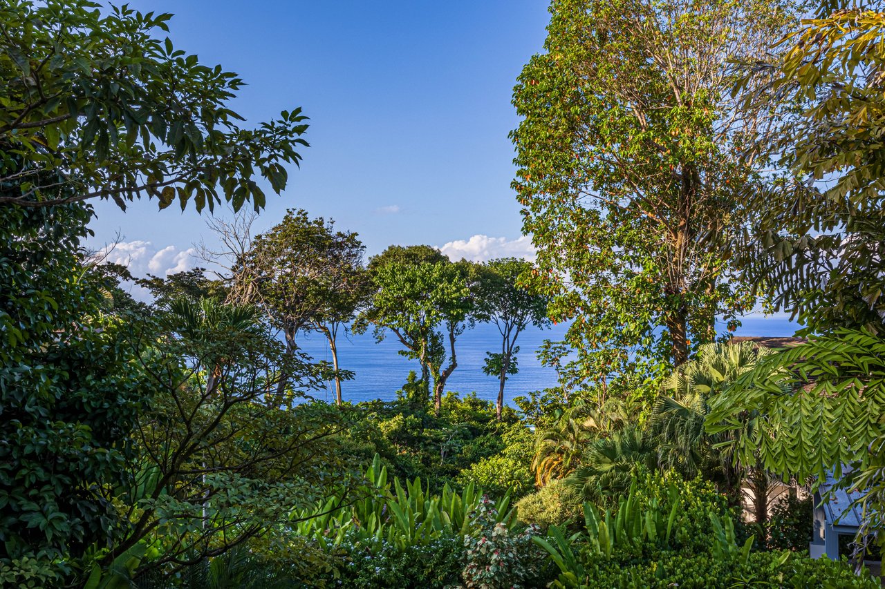 VILLA MAREN | ELEVATED LIVING IN UVITA | DOMINICAL 