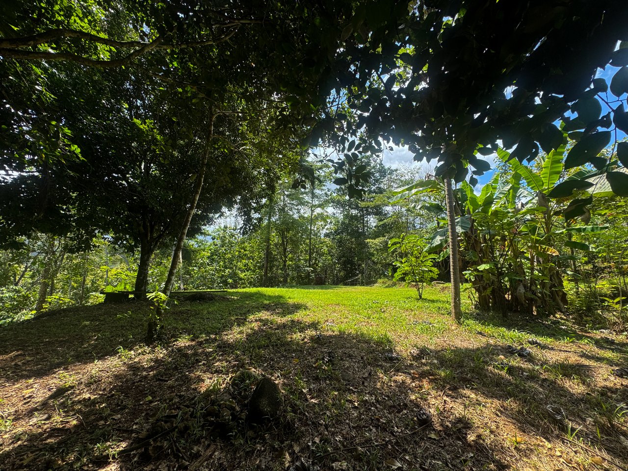 1.2- ACRE Mountain View Property with creek in  La Union Road, Uvita