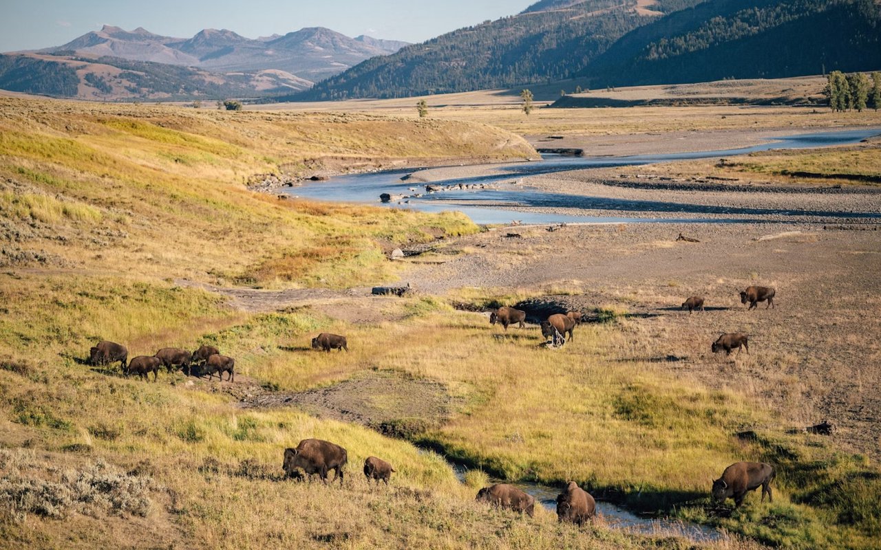 Things You Might Not Know About Livingston, MT