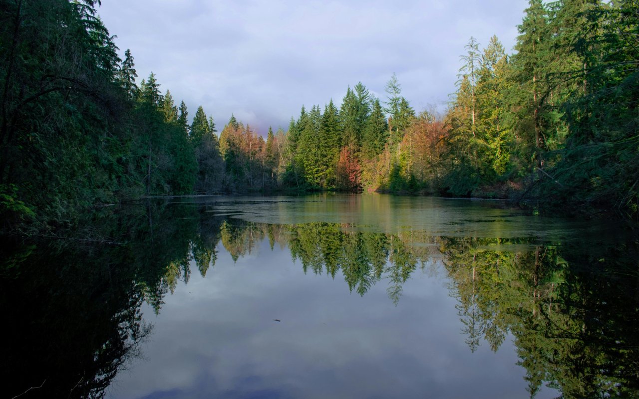 Roamingwood Lake