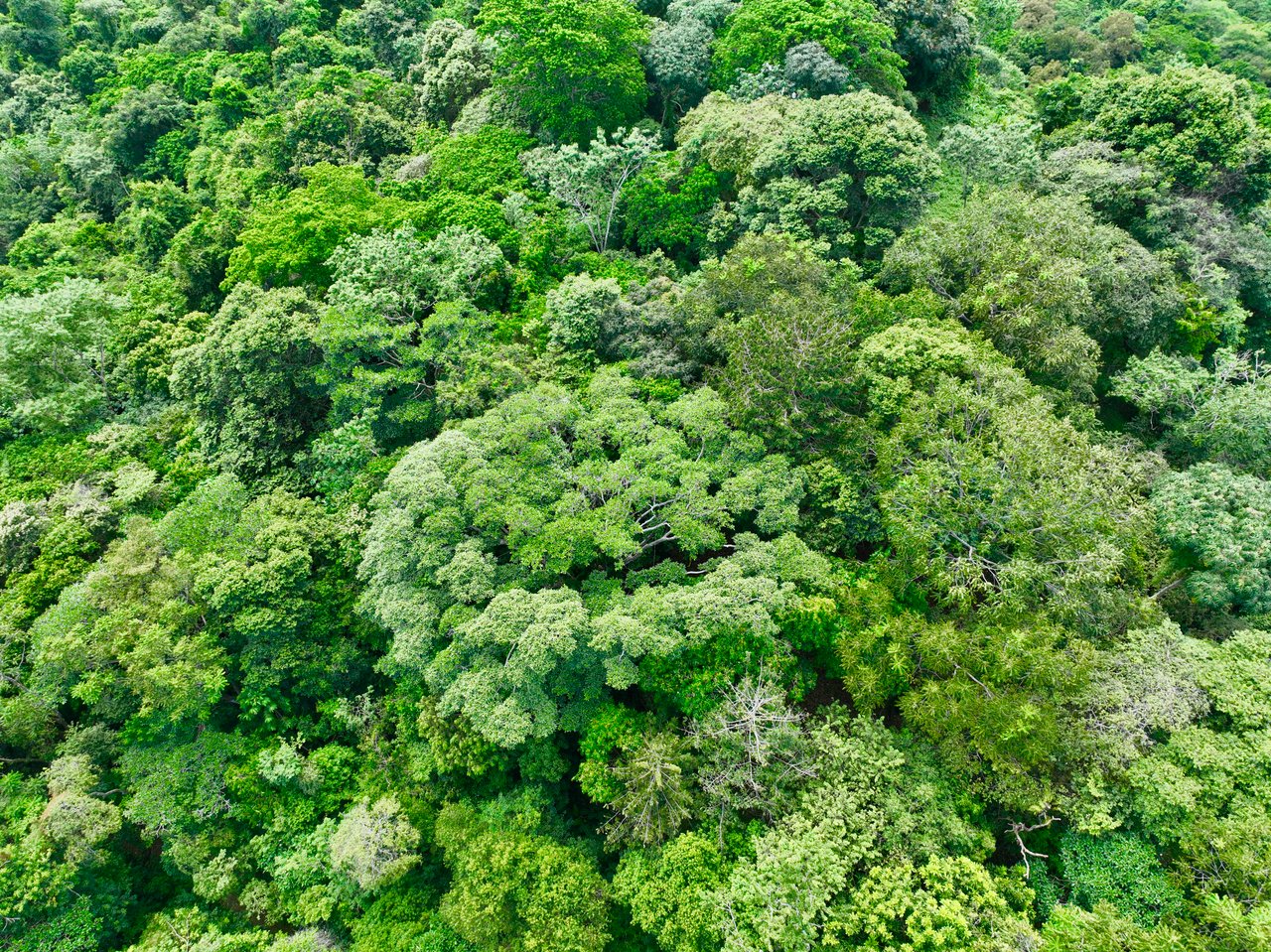 TROPICAL MASTERPIECE – 61.78 ACRES OF OCEANVIEW BLISS WITH WATERFALL