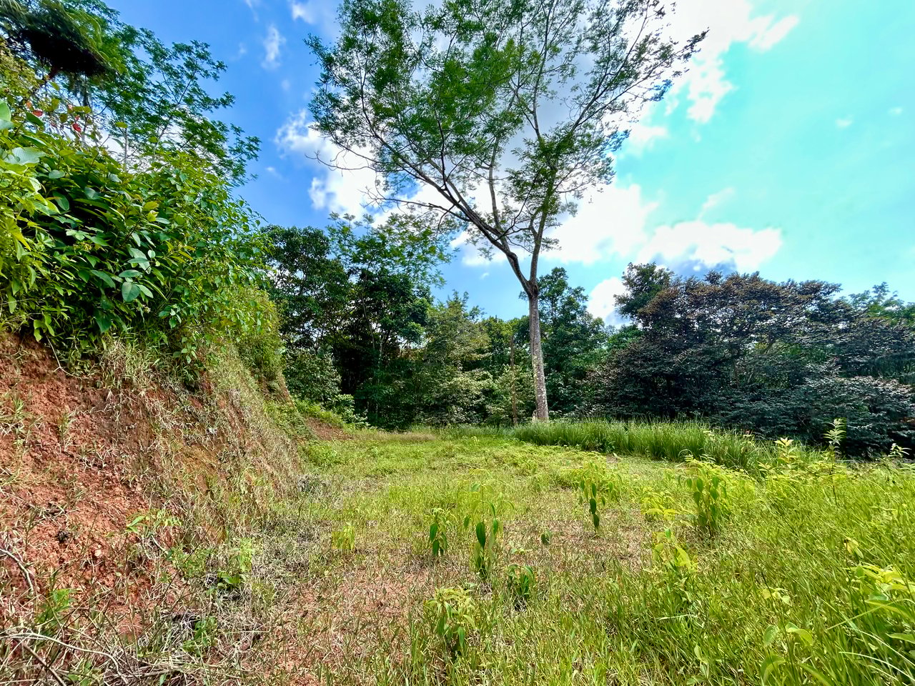 Beautiful Lot in Phase 9 Ojochal, Gated Communuity 