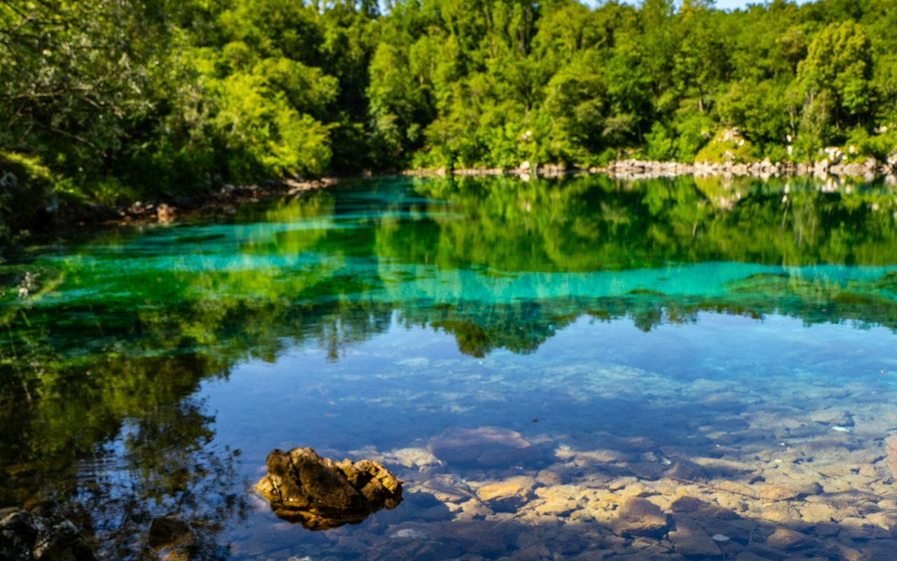 Turquoise spring water bordered by dense trees, with rocks visible beneath the surface.