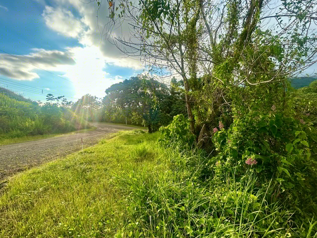 2.77-Acre Ocean View Lot in Phase 11 Ojochal – Ready to Build!