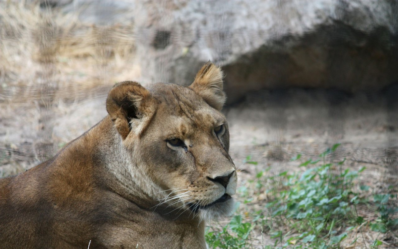 Zoo Boise