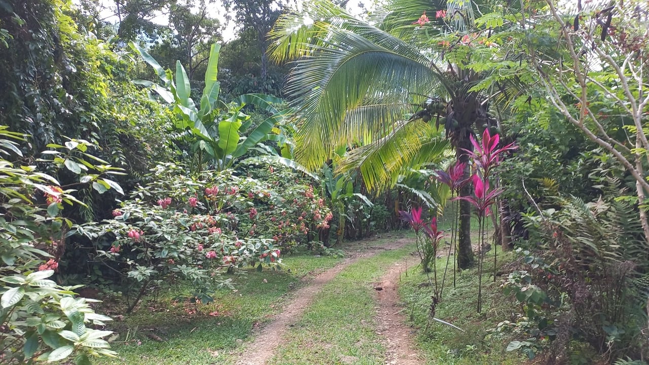 Charming Mountain Retreat with 2 Bedroom Home and Rustic Cabin