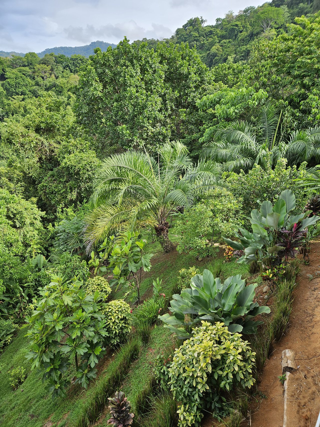 Beautiful sea view House Guesthouse and Pool in a gated Community close to awesome Beaches