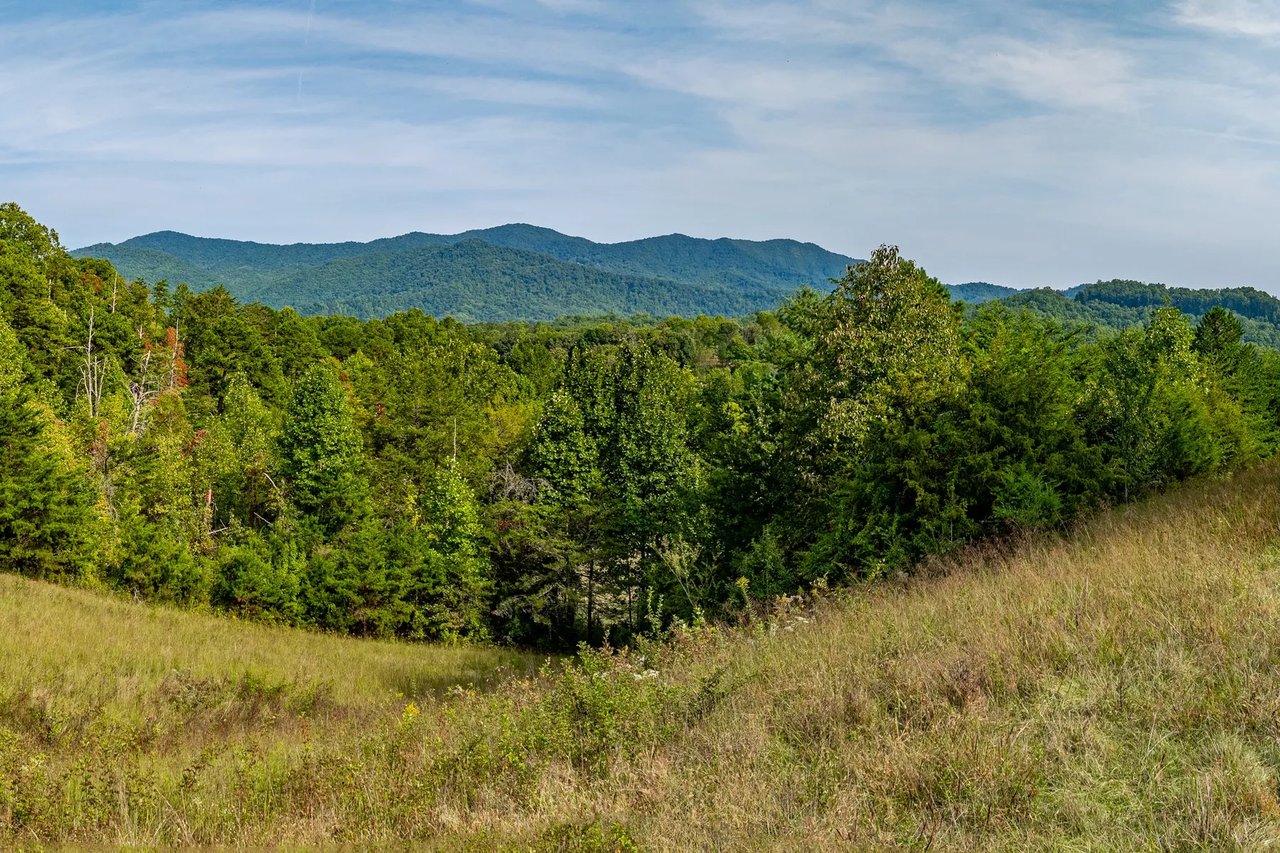 4.11 Acres, Cattle Dr