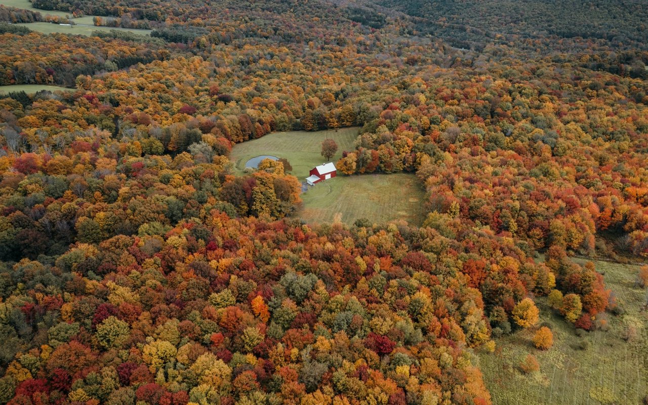 Under Contract - A Lot For A Young Client In Williamston, SC 