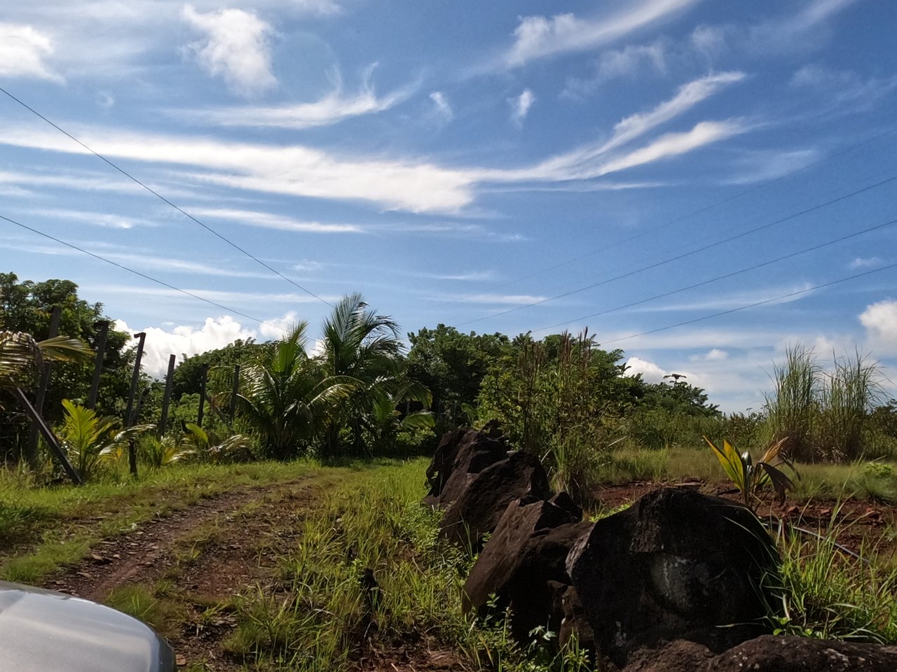 Serenity Ranch Avocado Farm | Countryside Agricultural Land For Sale in La Cruz