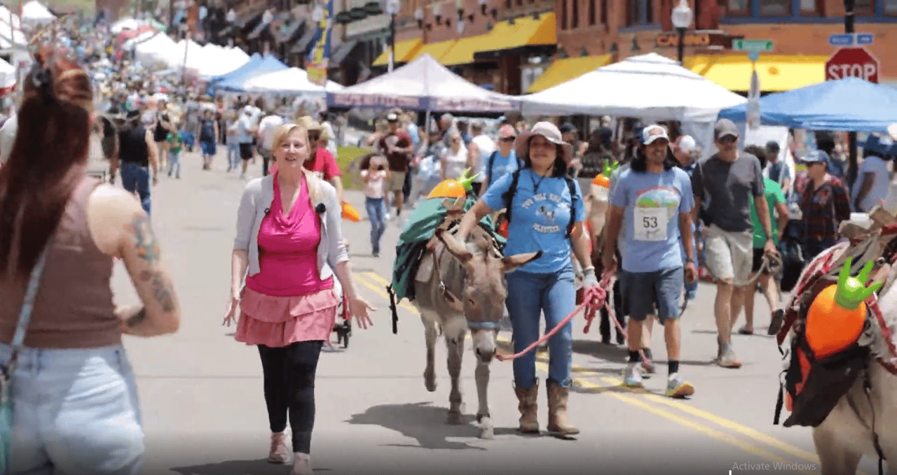 A Colorado Classic: Inside Cripple Creek’s Donkey Derby Days