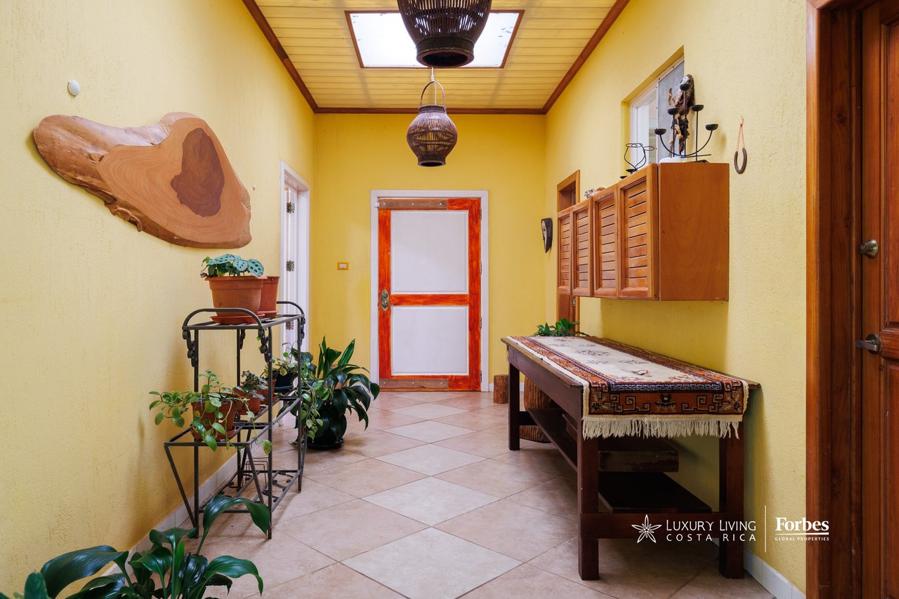 Furnished entry hallway with yellow walls, a wood ceiling, potted plants, and a long bench.