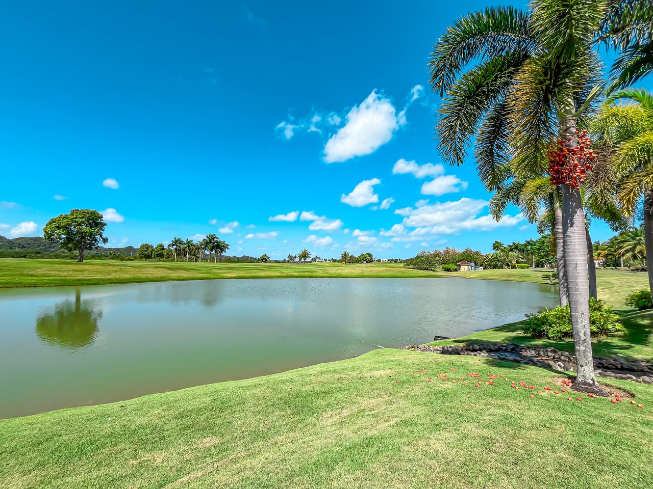 Dorado Beach East 147